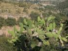 thumbs/041030_Mexico 035.jpg